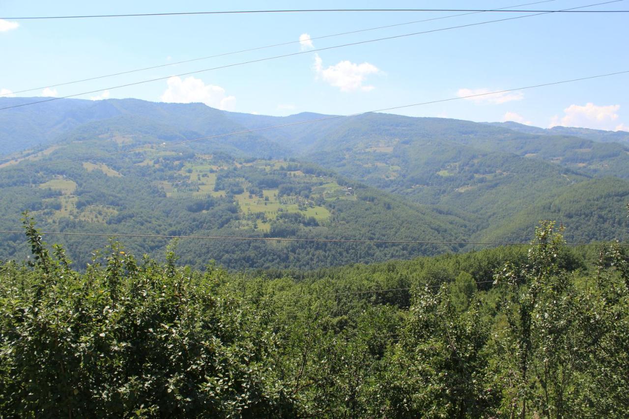 Vila Madera Pribojska Banja Luaran gambar